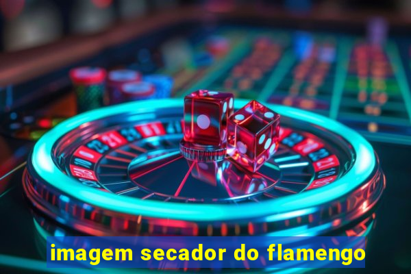 imagem secador do flamengo